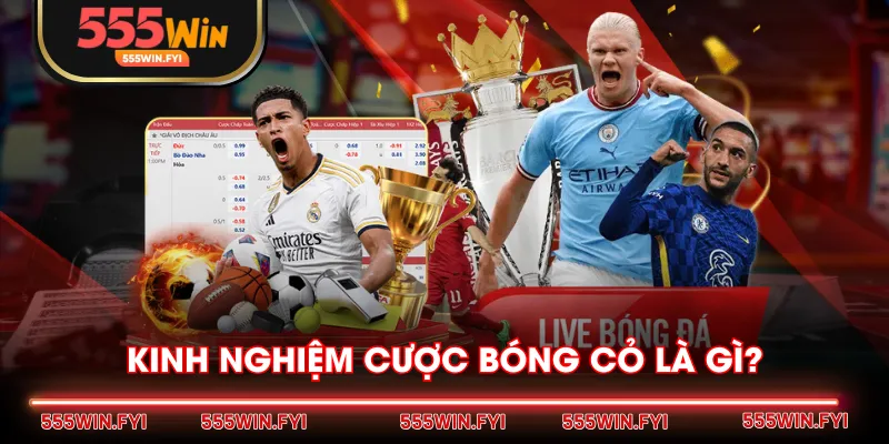 Kinh nghiệm cược bóng cỏ là gì?