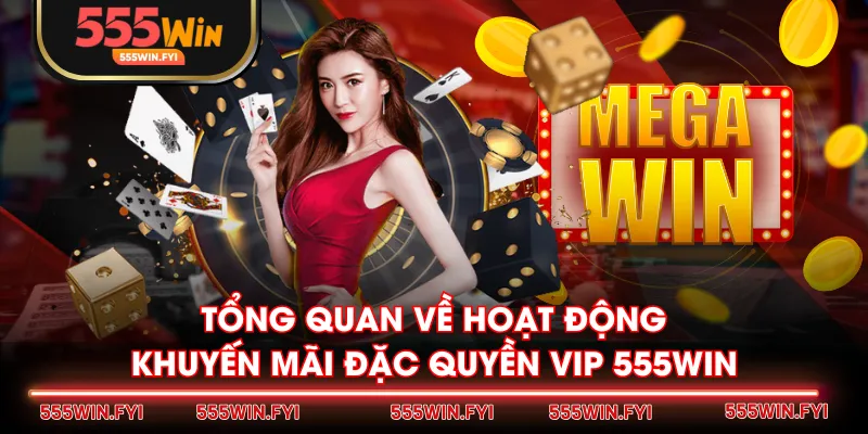 Tổng quan về hoạt động khuyến mãi đặc quyền VIP 555WIN